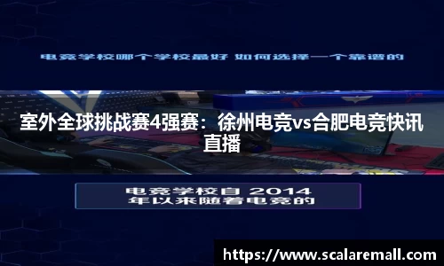 室外全球挑战赛4强赛：徐州电竞vs合肥电竞快讯直播