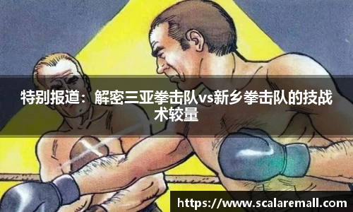 特别报道：解密三亚拳击队vs新乡拳击队的技战术较量